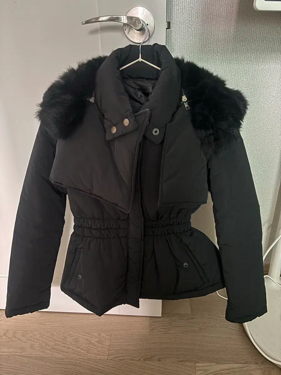 限定品 クラシックプー 証明書付き