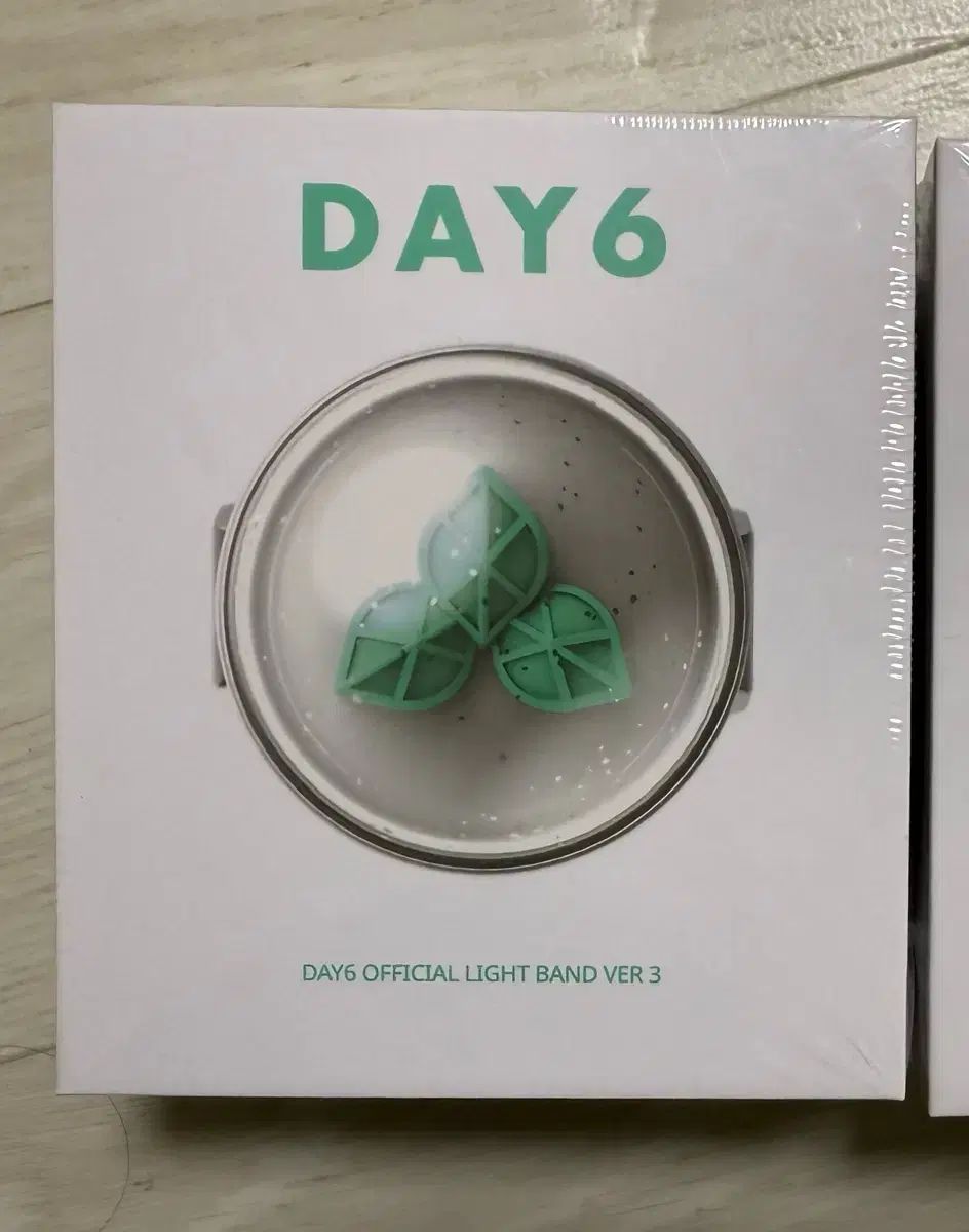 DAY6 ペンライト3 未開封 DAY6 ペンライト 未開封 1本 出品 公式DAY6