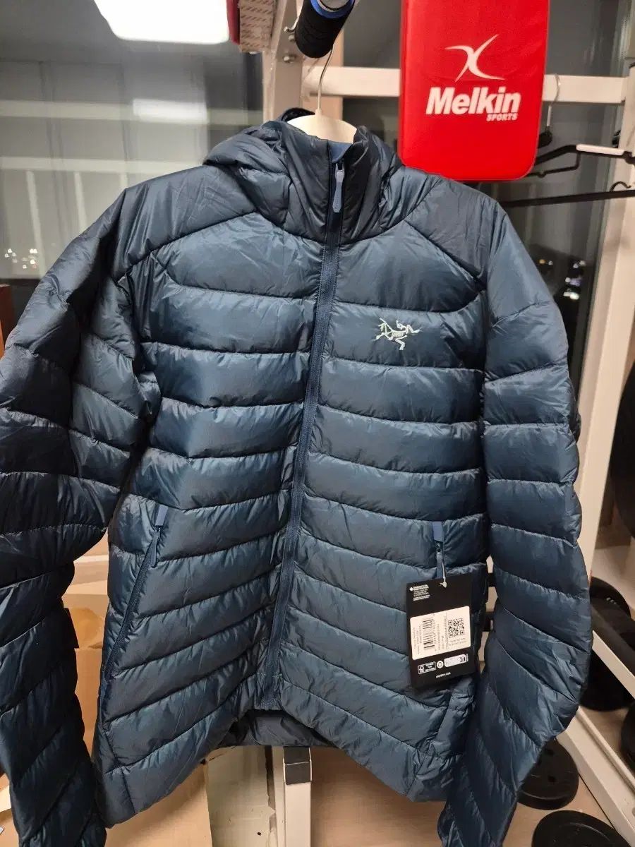 L アークテリクス セリウム フーディー NIGHTSCAPE