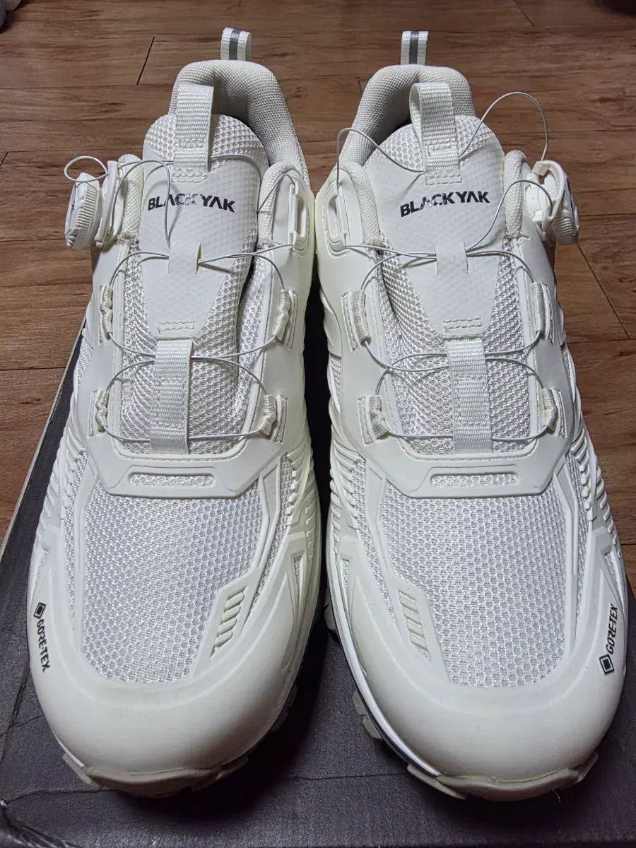 ブラックヤク ダイアル トレッキングシューズ 290 mm