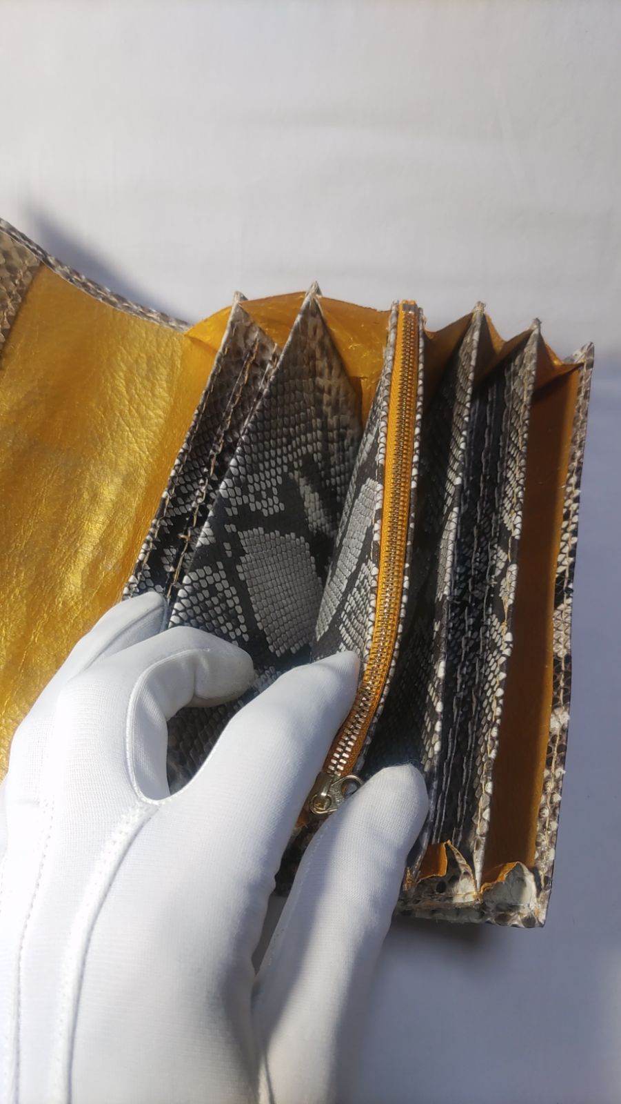 ダイヤモンド•パイソン