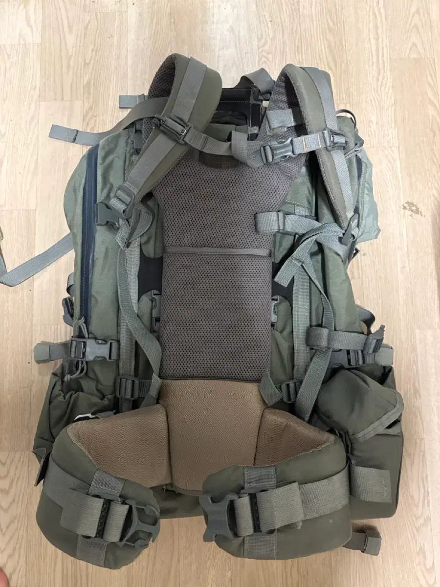 ミステリーフレンチテリー マーシャル105