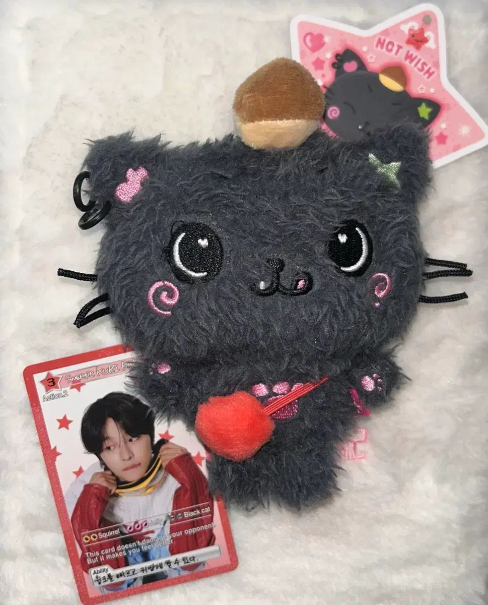 NCT WISH リク ウィッシュドール ぬいぐるみ 初回版 クーリ 開封 出品