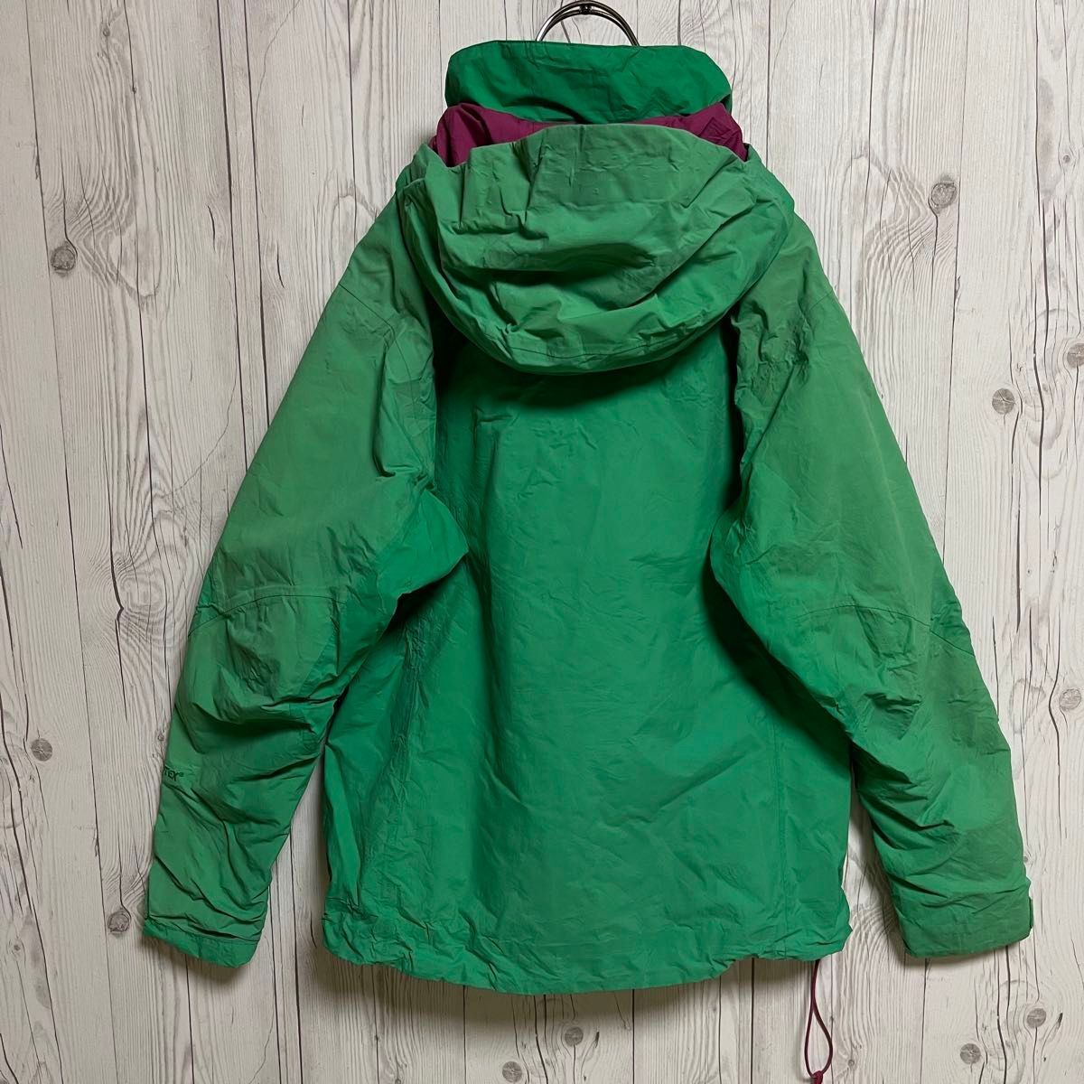 Patagonia パタゴニア GORE-TEX マウンテンパーカー ナイロン