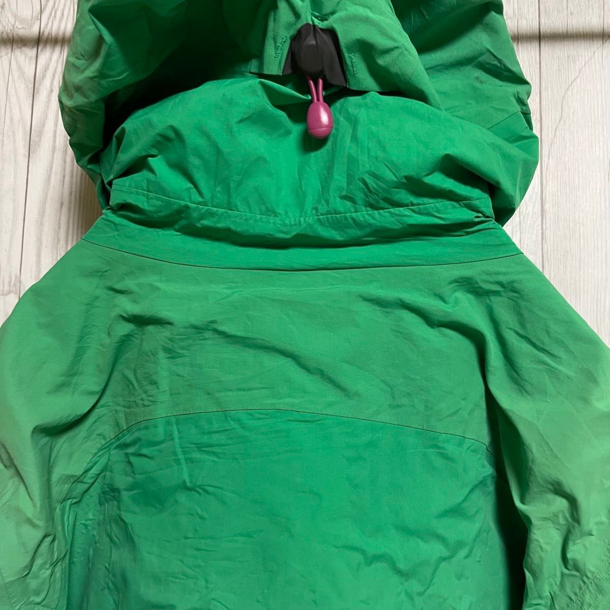 Patagonia パタゴニア GORE-TEX マウンテンパーカー ナイロン 