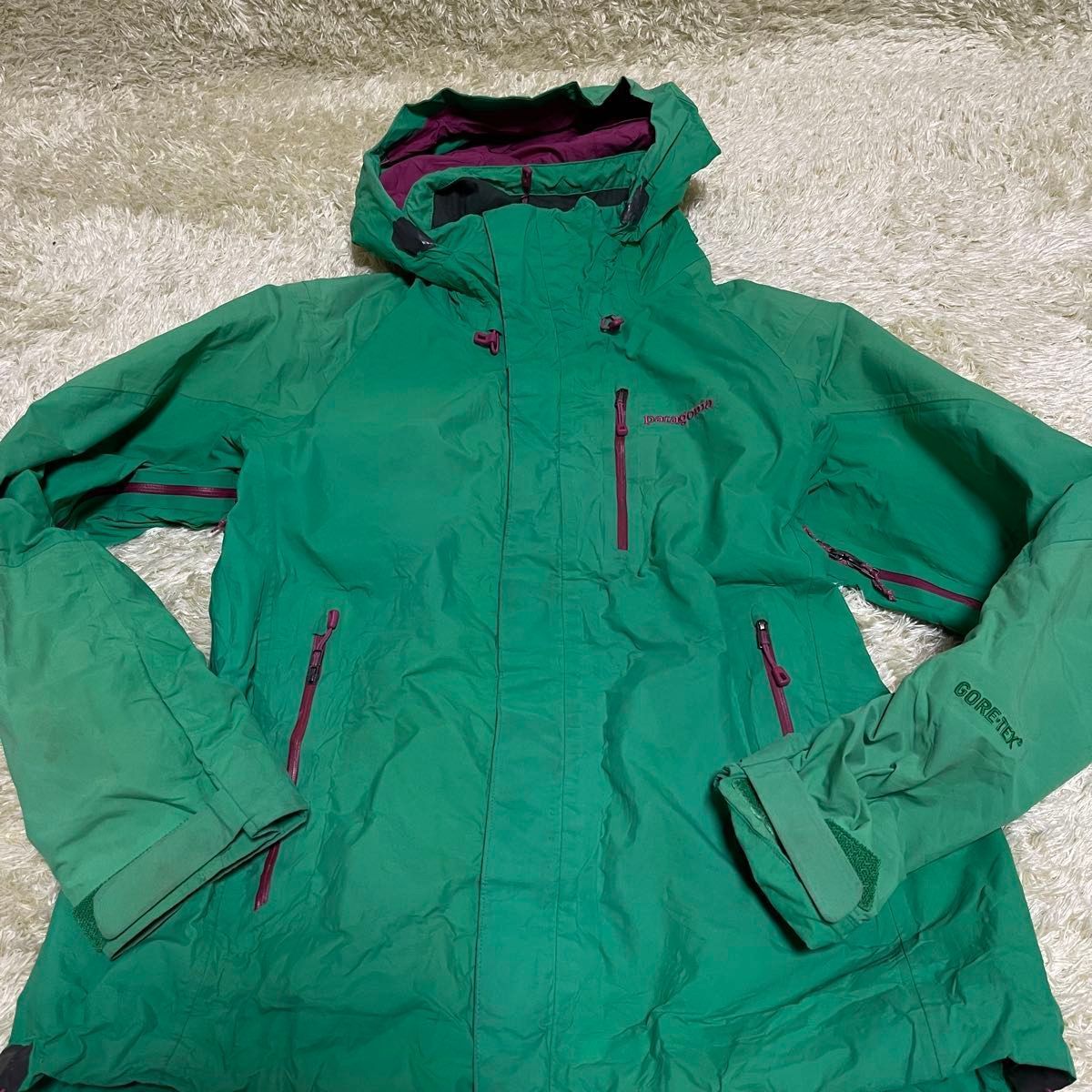 Patagonia パタゴニア GORE-TEX マウンテンパーカー ナイロン