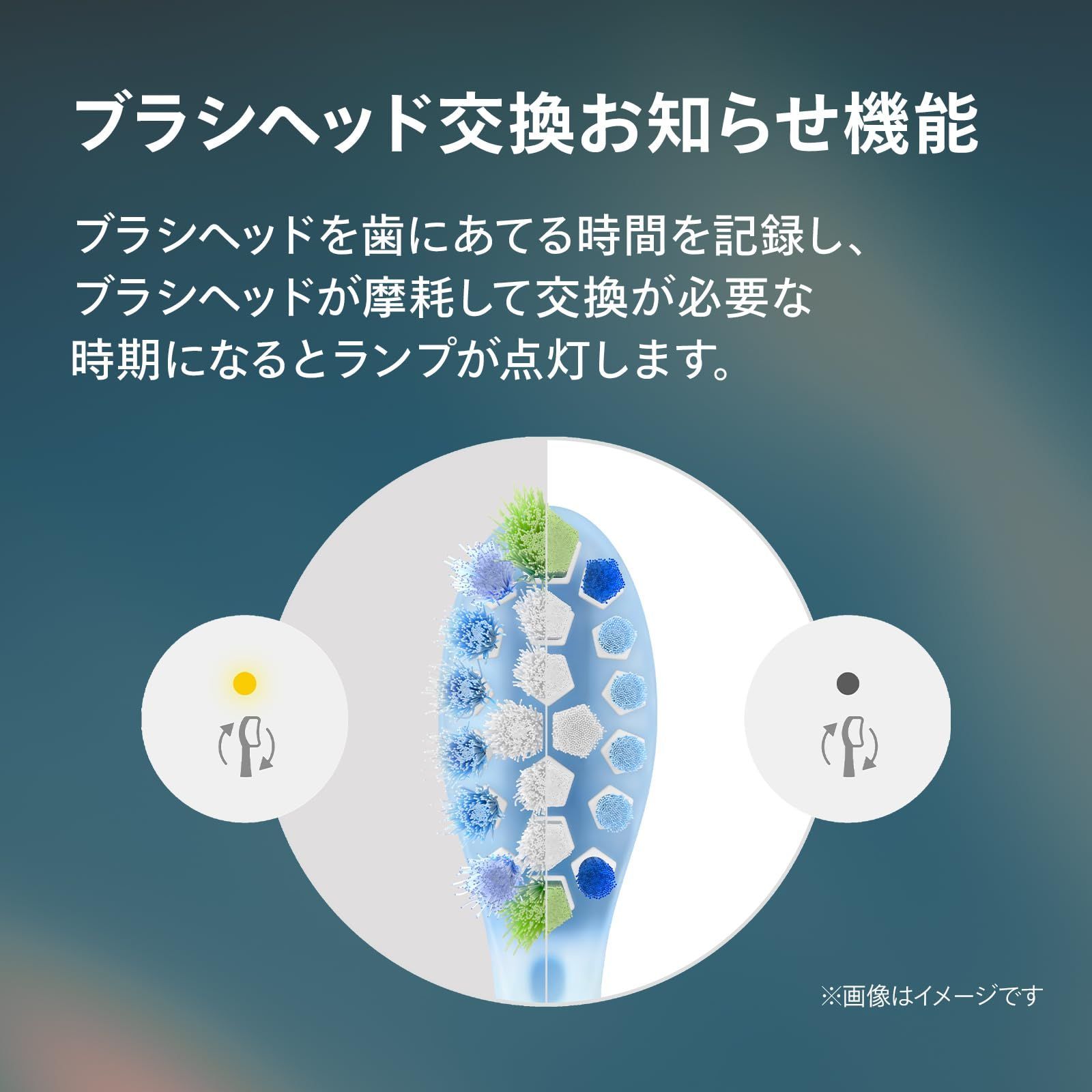 プロテクトクリーン