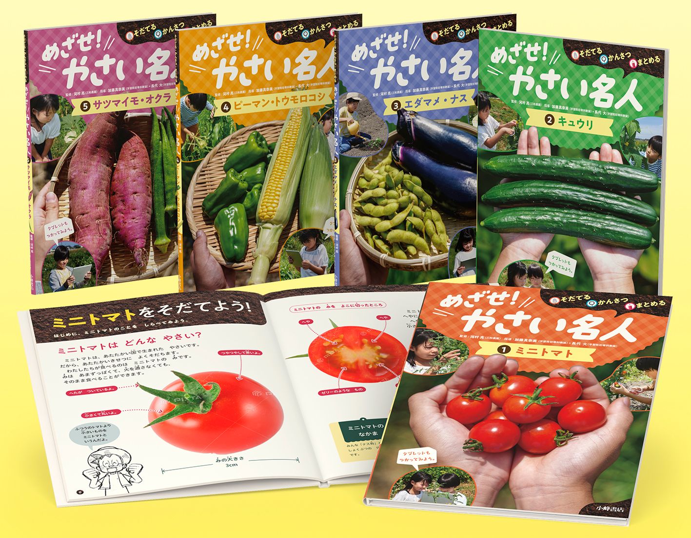 そだてる かんさつ まとめる めざせ やさい名人 全５巻セット 河村亮 大型本