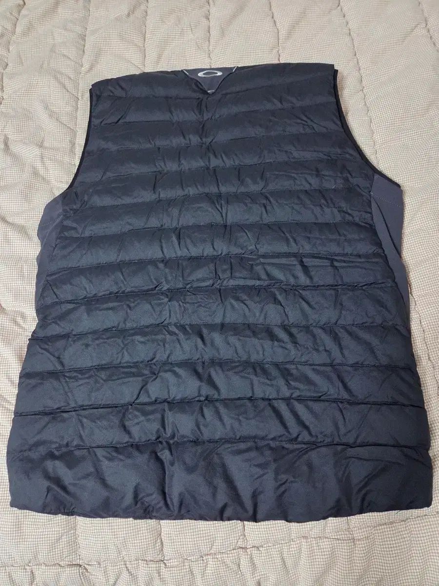 オークリー アークテリクス コラボ ダウン ベスト 100