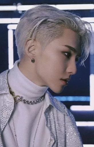 中古】コレクションカード(男性) 30[BASIC VER.]：SEVENTEEN/HOSHI