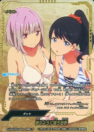 バディファイト S-UB-C 05 S 004 究 夢のように想う世界