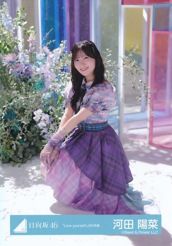 中古】生写真(乃木坂46) 日向坂46/河田陽菜/座り/日向坂46ランダム生