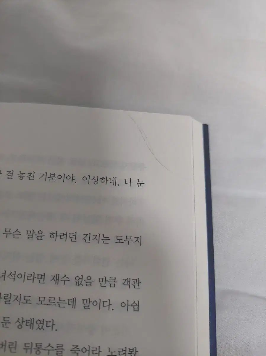 金髪の精霊師 小説 1部 全巻 特典 イラスト カード