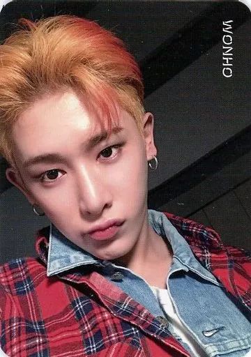 中古】コレクションカード(男性) MONSTA X/ウォノ(WONHO)/バストアップ