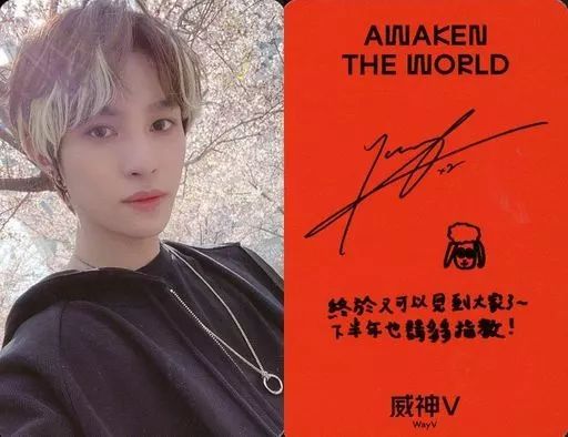 中古】コレクションカード(男性) WayV(威神V)/ヤンヤン(YangYang)/裏面
