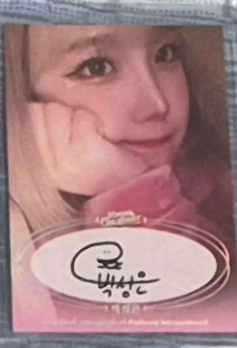 박성은 サイン入り 私服 オートカード