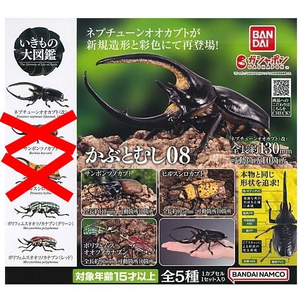 いきもの大図鑑 かぶとむし08 × 3種セット かぶとむし カブトムシ
