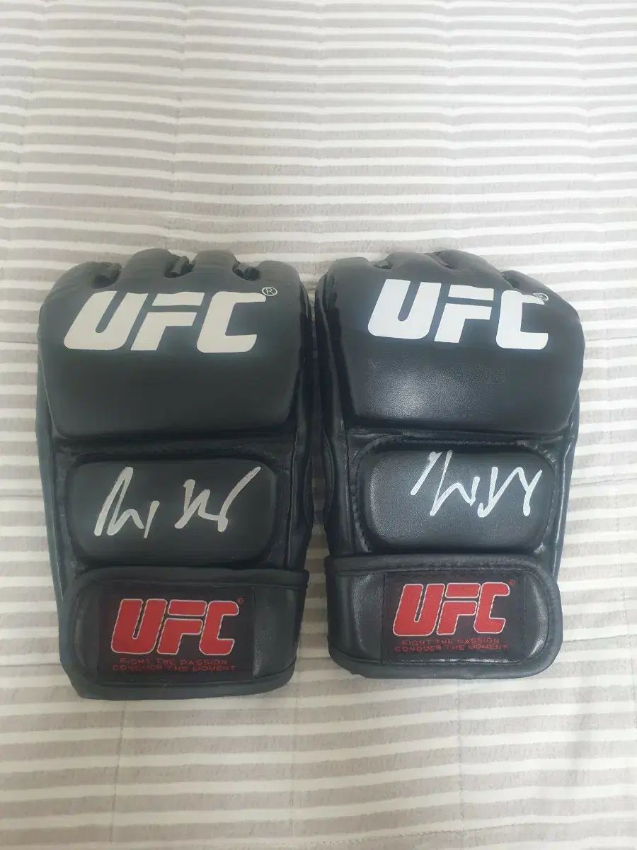 UFC グローブ マックス ホロウェイ サイン入り