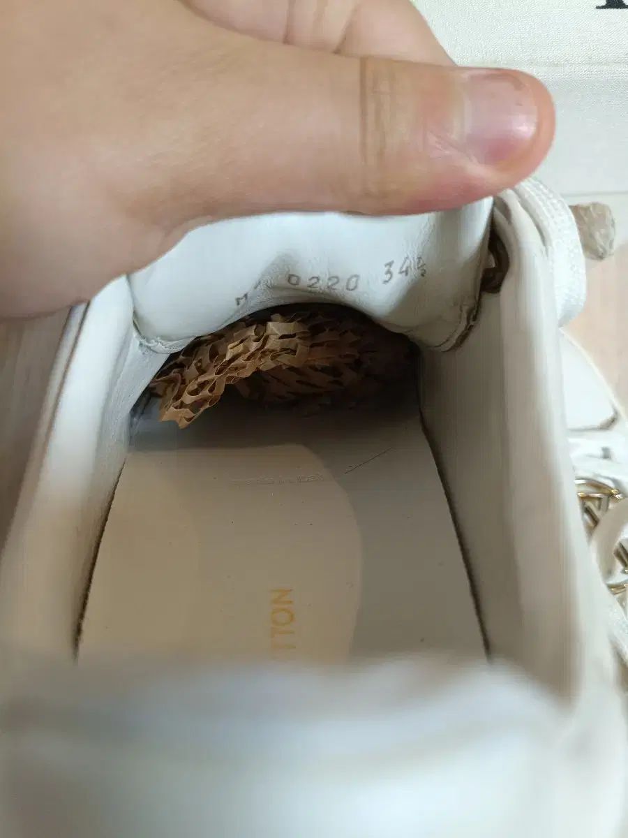 LVサークル フロントロウ