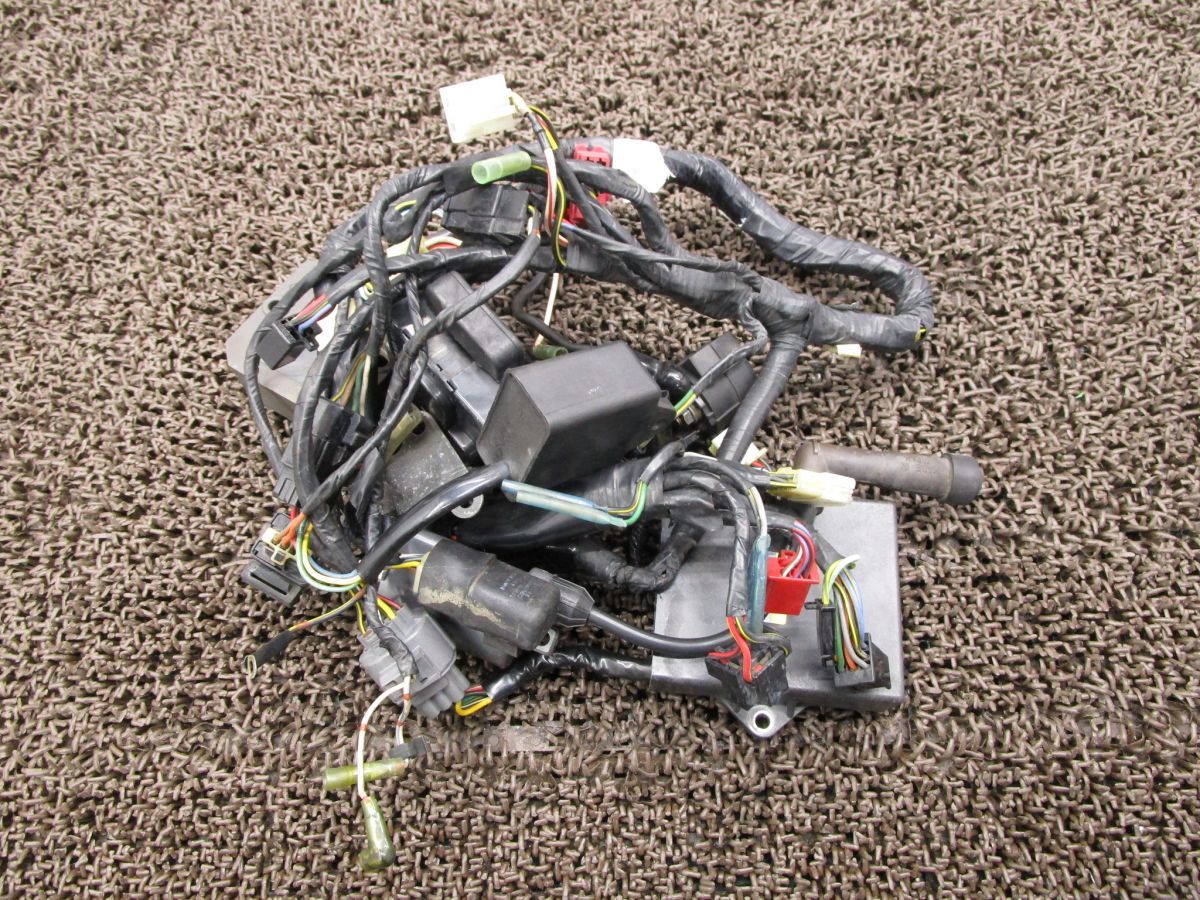 エストレヤRSカスタム メインハーネス イグナイター A 8696 レギュレター BJ 250 カワサキ AE Estrella 電装 キャブ車 ドラム