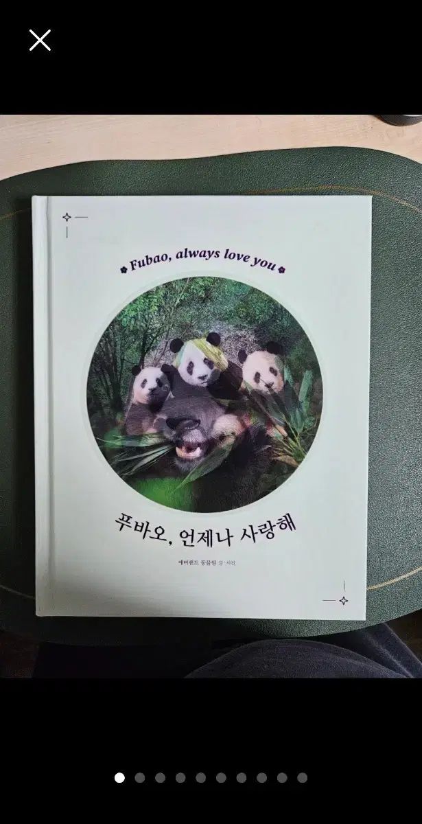 DRT 限定カラー クラッシュ9 大江川セクシーイナッコ