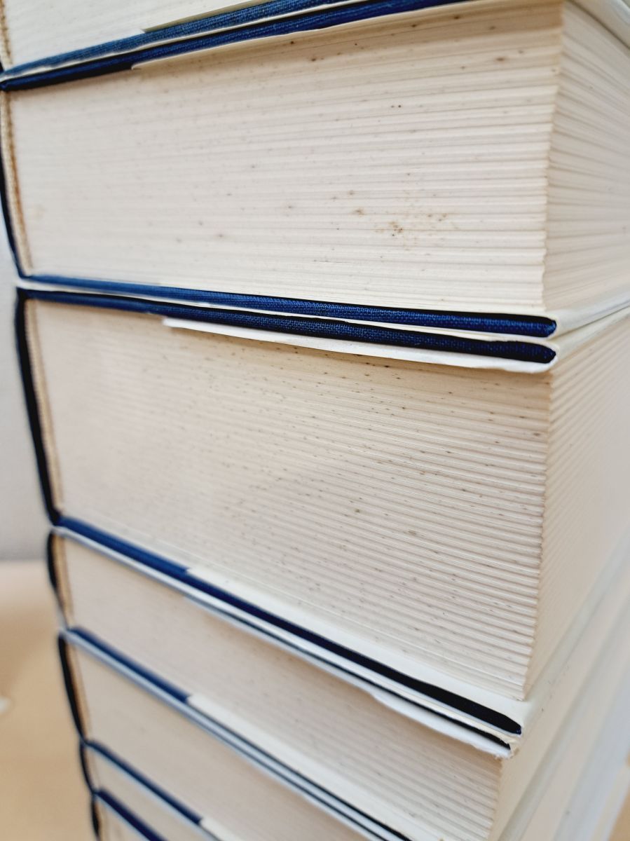 洋書／独語】Karl Barth Gesamtausgabe カール・バルト全集 20冊セット