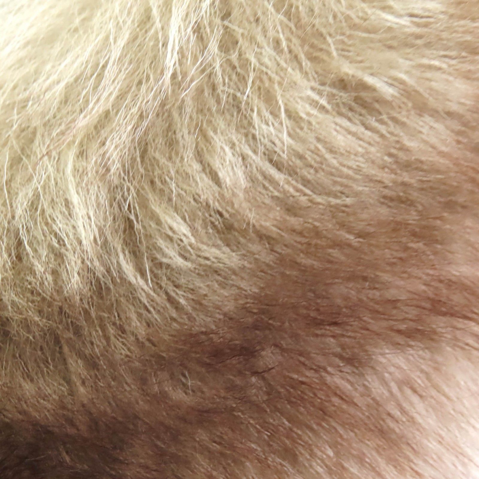 美品△COACH コーチ C5168 ロング スリム パッファー ウィズ