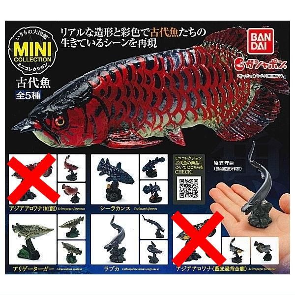 いきもの大図鑑ミニコレクション 古代魚 × 3種セット ガチャ