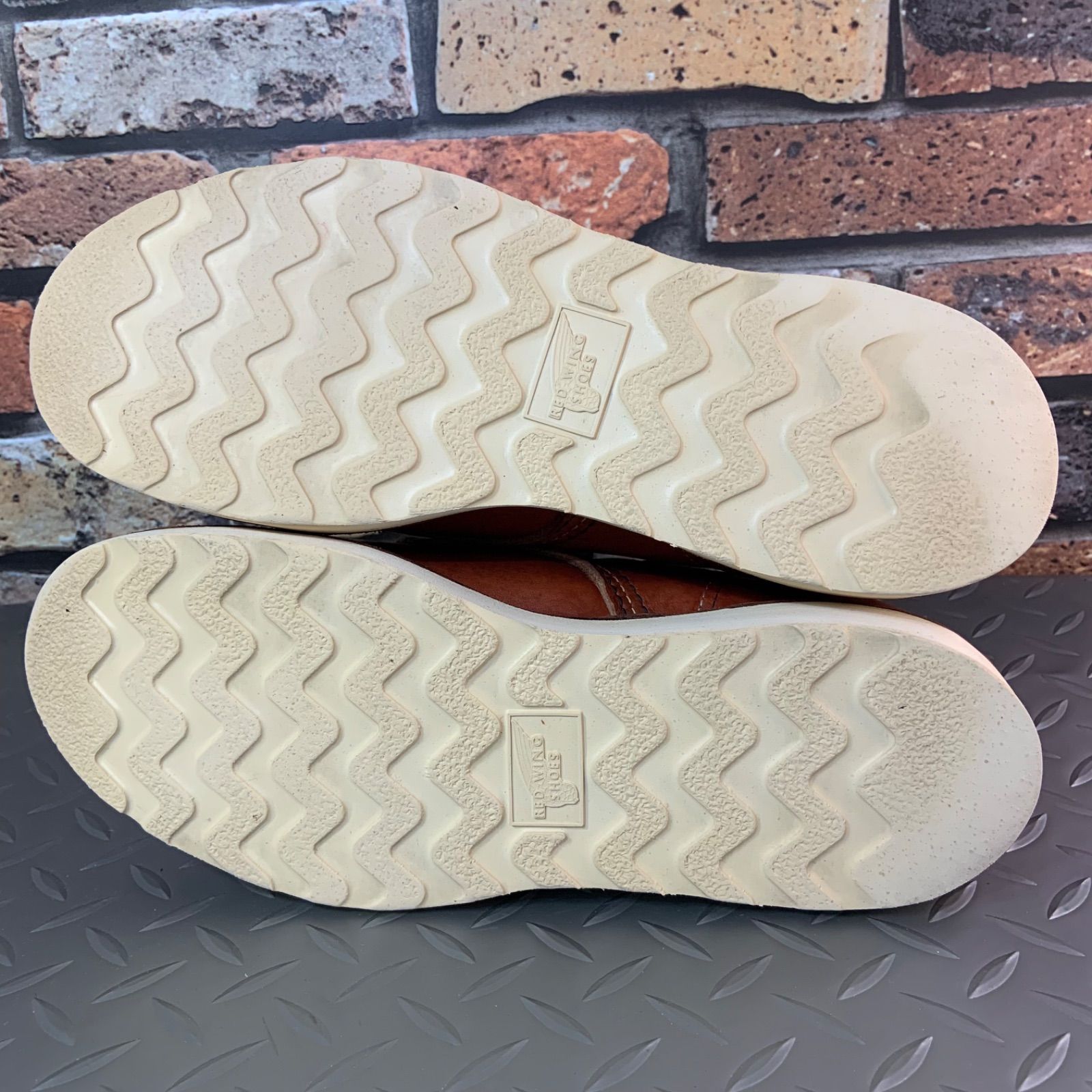 25㎝ レッドウイング