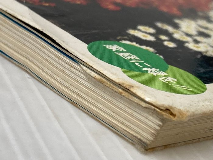 31 ひかりのくに