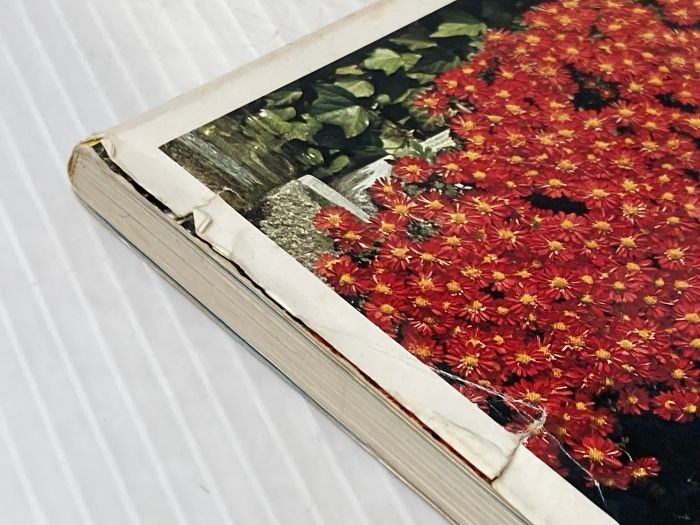  イタミ有 小菊懸崖づくり 園芸ハンドブック 31 ひかりのくに 京阪ひらかた園芸 健康 医学 本