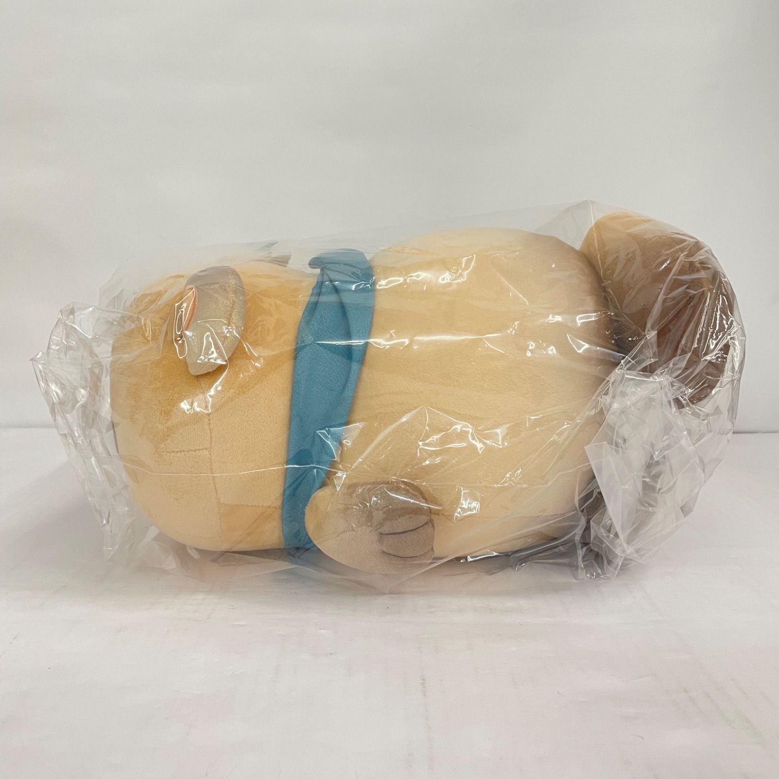 ホロライブ 風真いろは