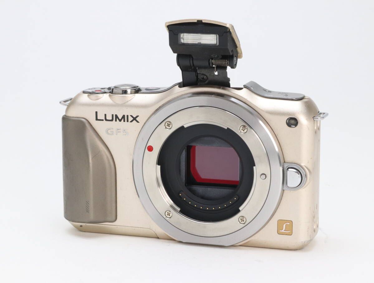 C 実用品 Panasonic パナソニック LUMIX DMC GF 5 ボディ シャンパンゴールド 初期不良 対応 111 184
