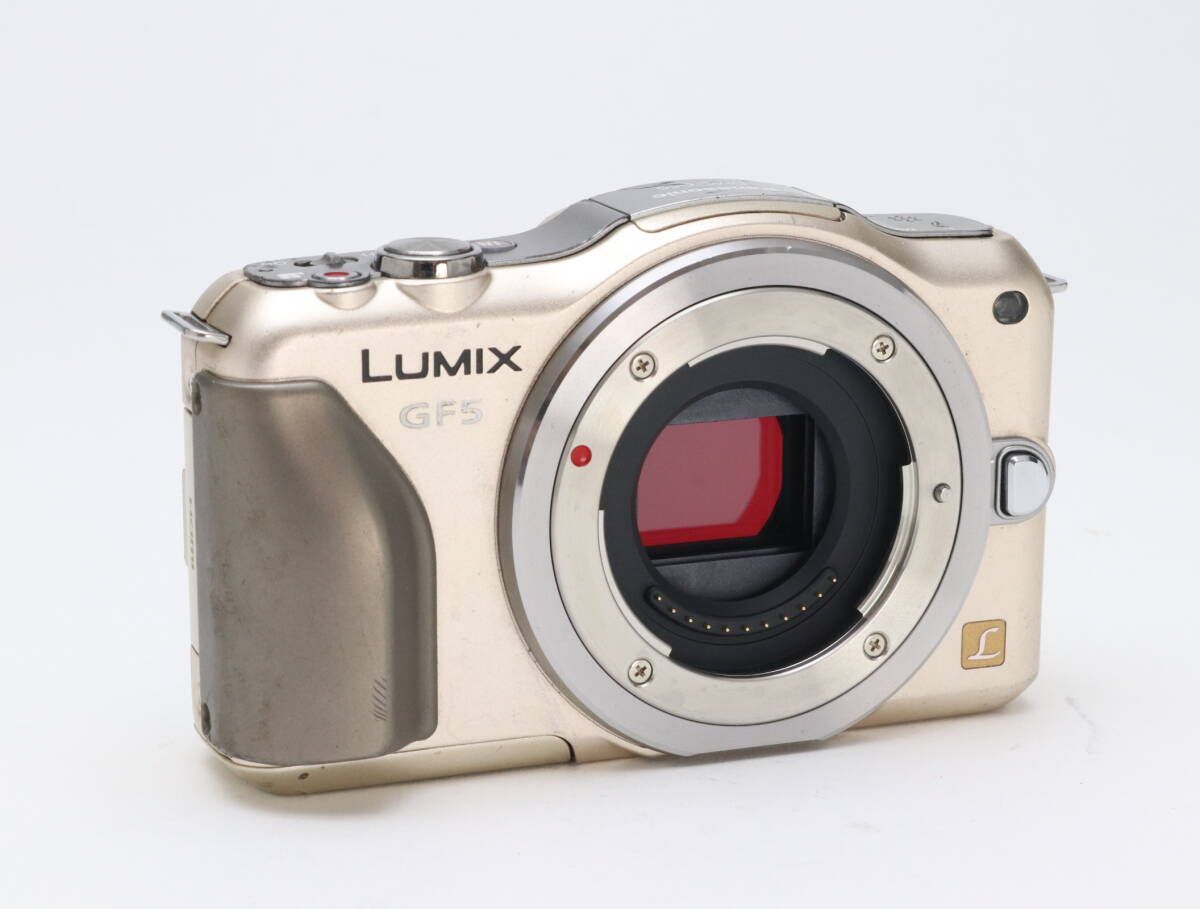  C 実用品 Panasonic パナソニック LUMIX DMC GF 5 ボディ シャンパンゴールド 初期不良 対応 111 184 ミラーレス一眼 デジタルカメラ