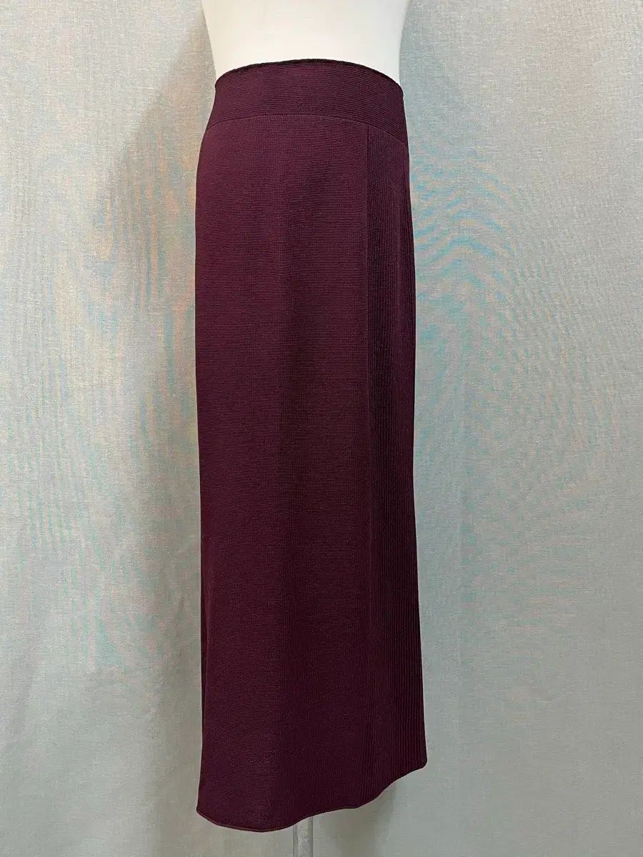 2017年 SYSTEM バーガンディ ロング スカート F