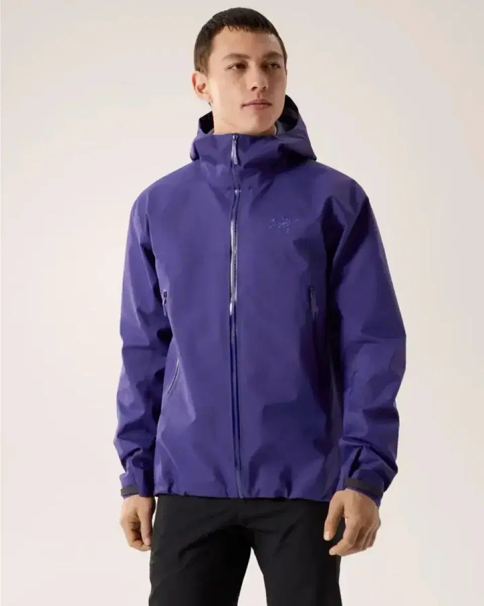 ARC TERYX アークテリクス ベータ L