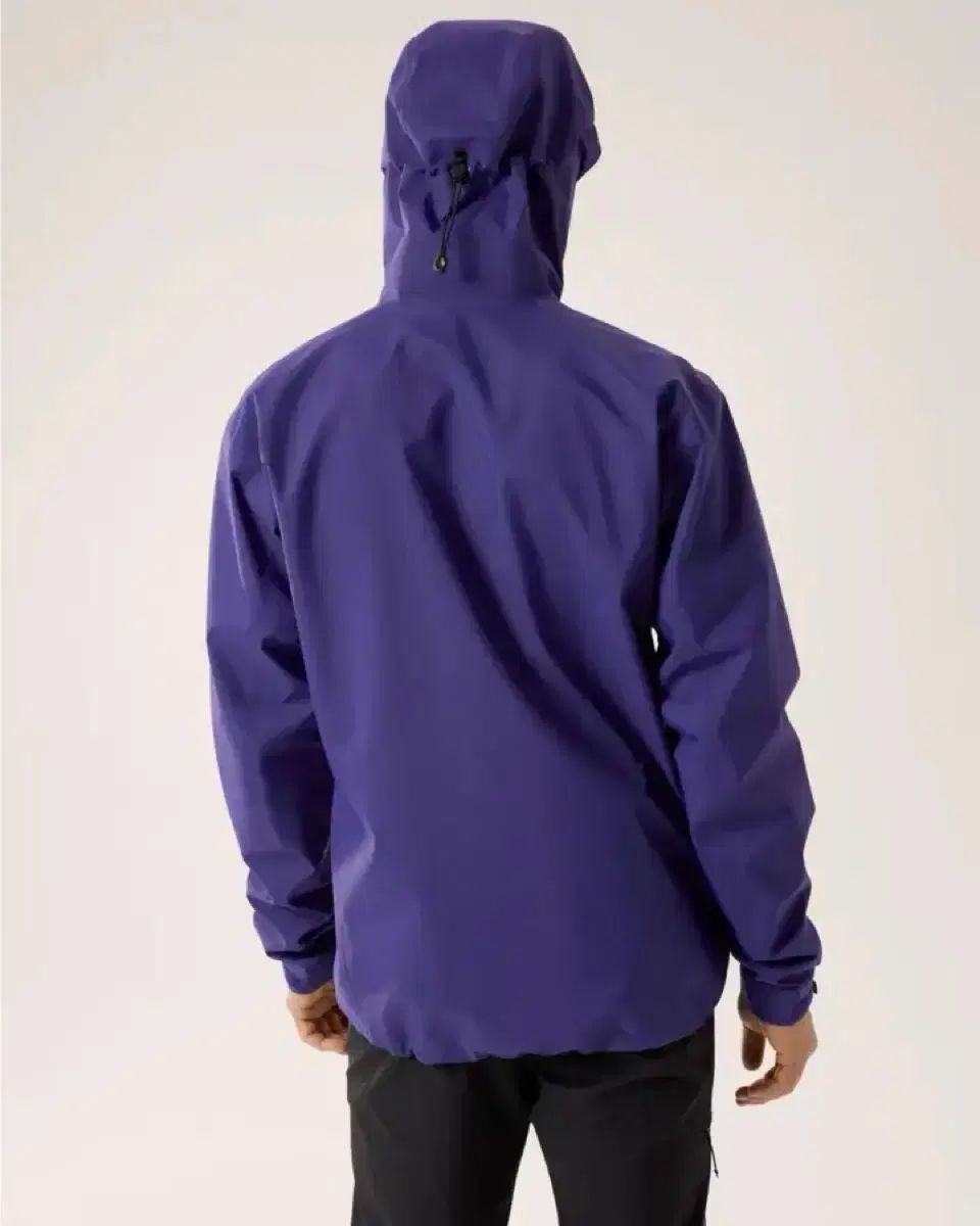  ARC TERYX アークテリクス ベータ L その他 アウター