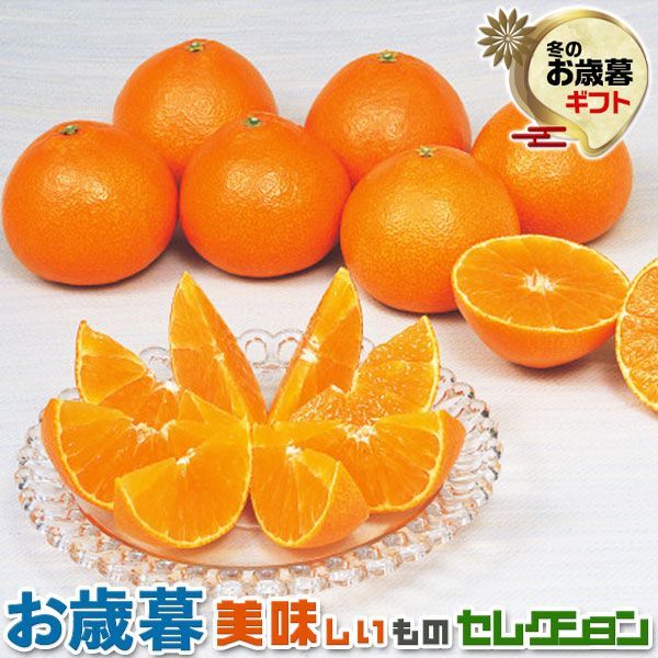 お歳暮 ギフト 愛媛県産 紅まどんな みかん 秀品（3kg）｜ 化粧箱（秀