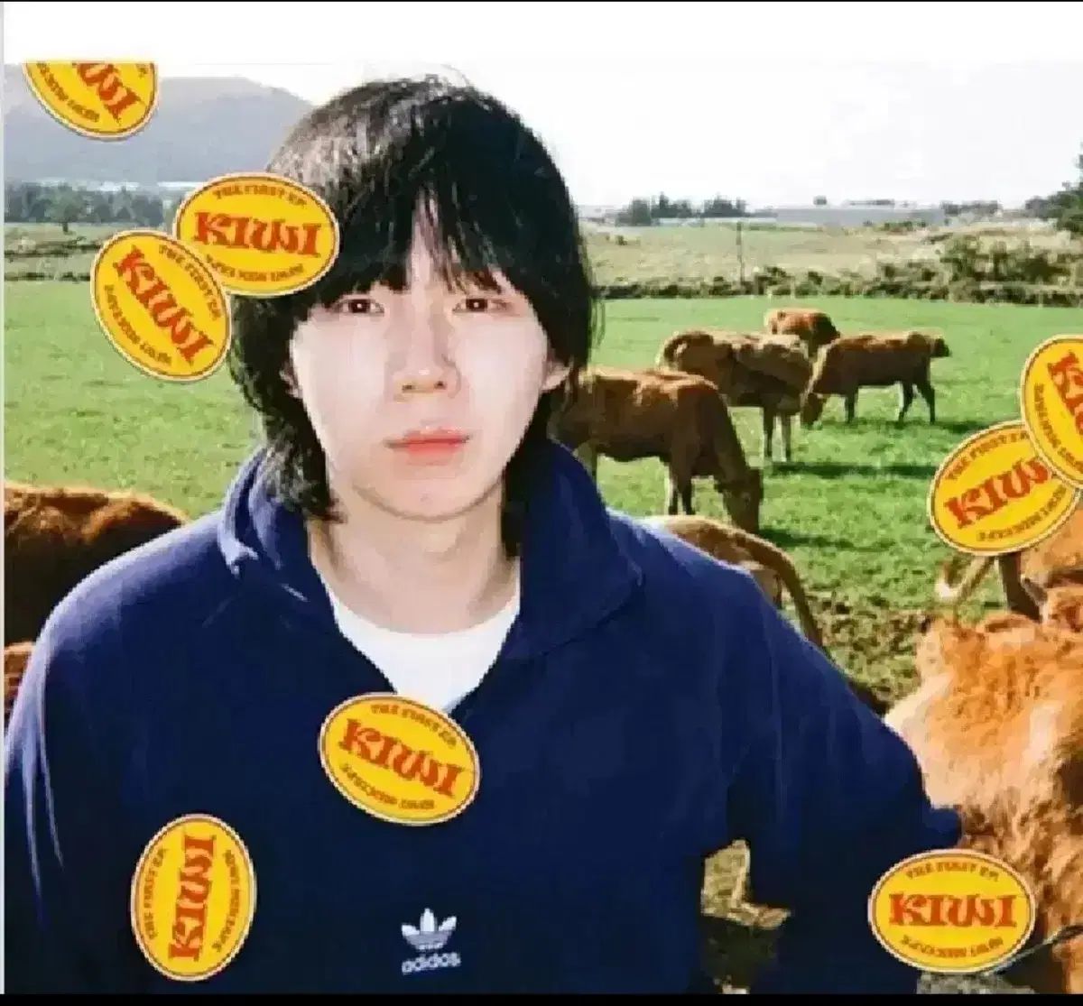 アイル アルバム cd KIWI MIXTAPE