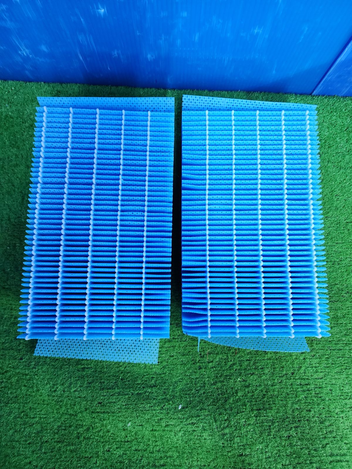 ダイニチ プラス