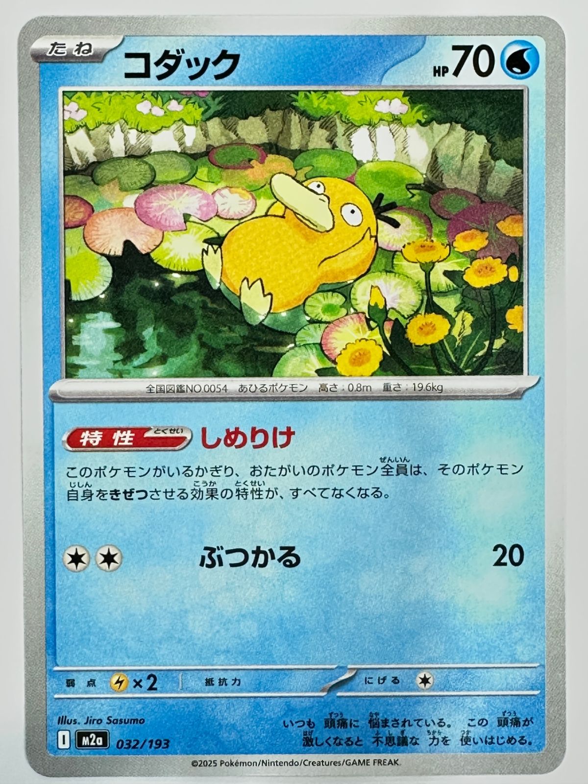 032/193 コダック - メルカリ