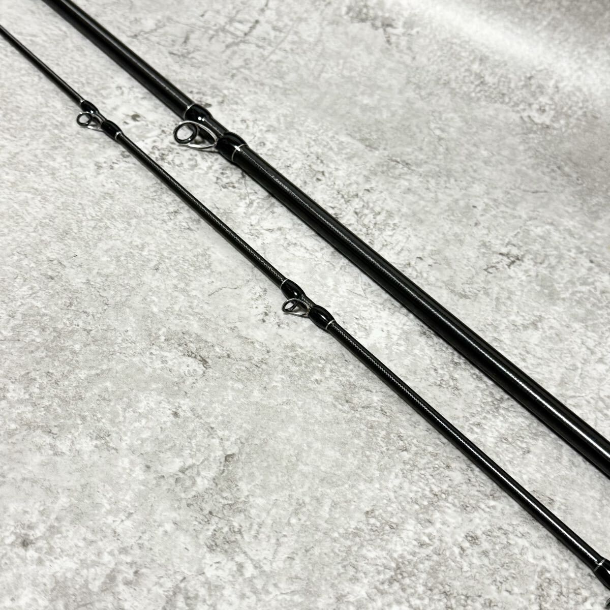 フィッシュマン BRIST