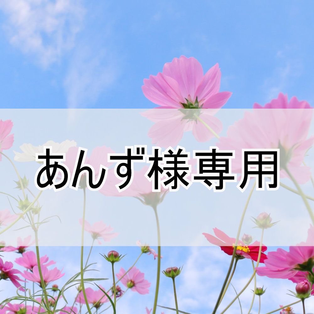 こちらは、あんず様専用です。 【公式通販】 こちらは、あんず様専用です。 【公式通販】