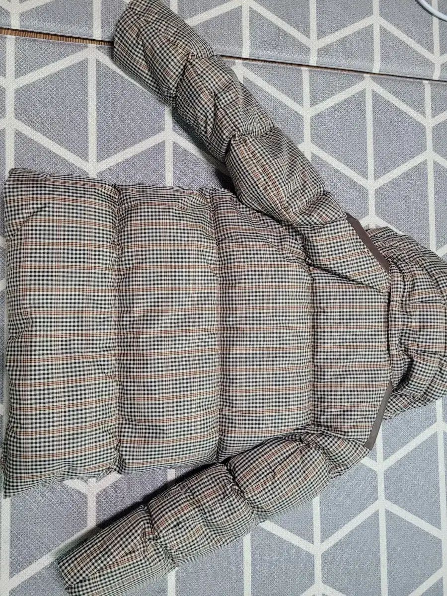 Little ダックスキッズ