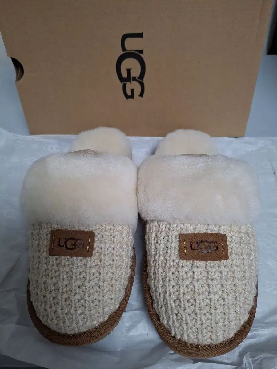 UGG アグ コージーニット スリッパ クリーム us 5 220