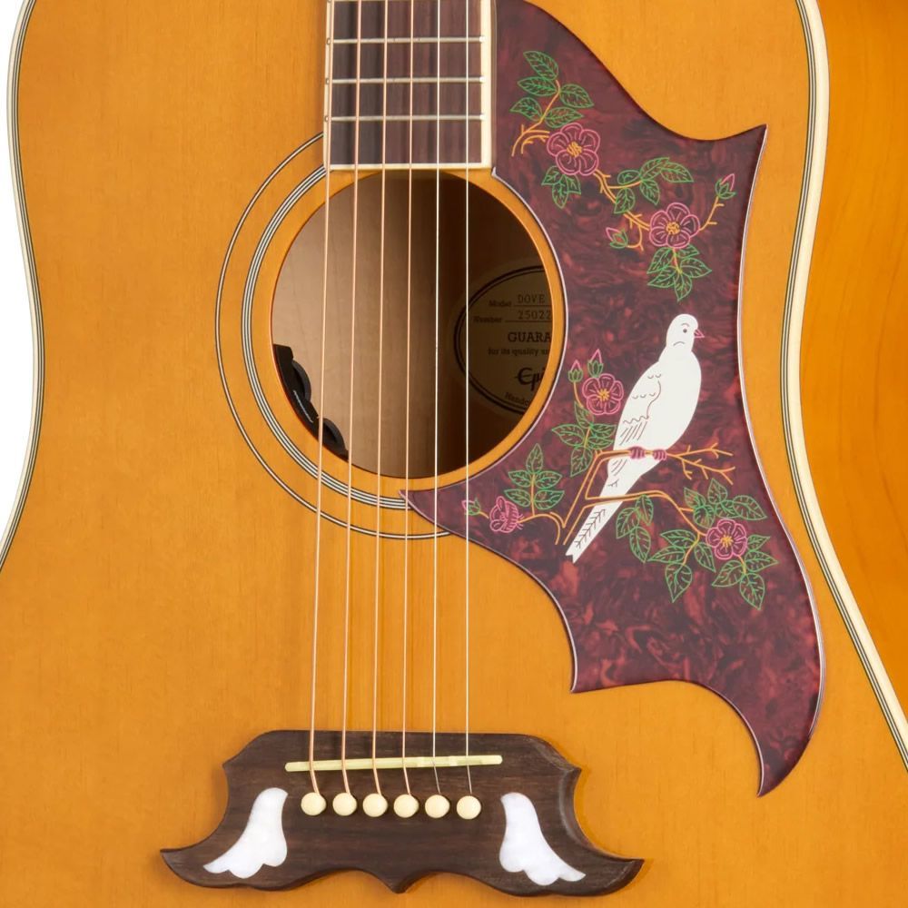 Epiphone Inspired by Gibson Dove Studio (Natural) [Fishman