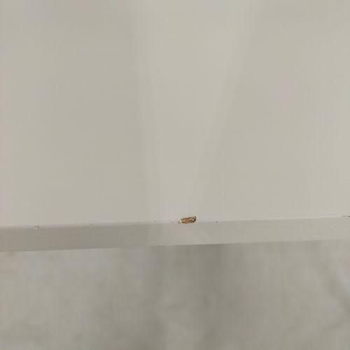 ミニベッド＆デスク スリーピー 石崎家具