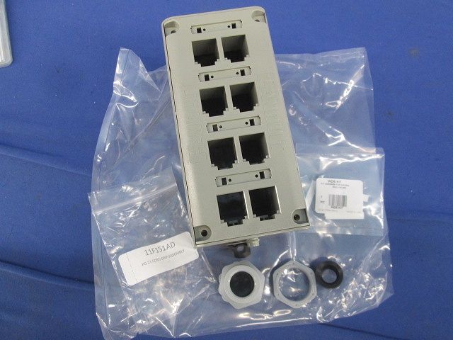 ドルステニア エレンベッキアナ 陶器鉢付き