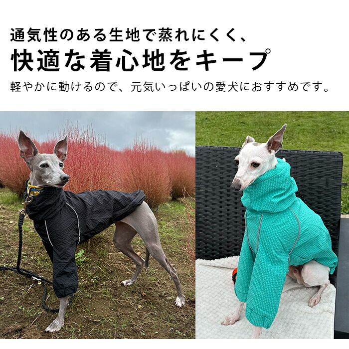 犬用品 【2XLサイズ】イタグレ 撥水 ジャケット アウター イタグレ服