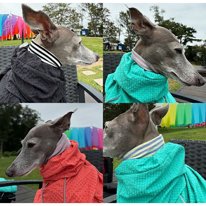 犬用品 【2XLサイズ】イタグレ 撥水 ジャケット アウター イタグレ服